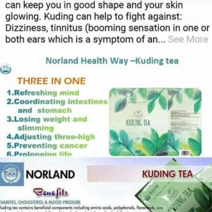 Organic Norland Kuding Tea For Sale