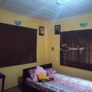 Venetian Window Blinds