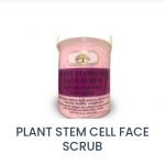 Buy Plant stem cell face scrub